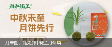 月未圆，礼先到 | 斑兰月饼篇
